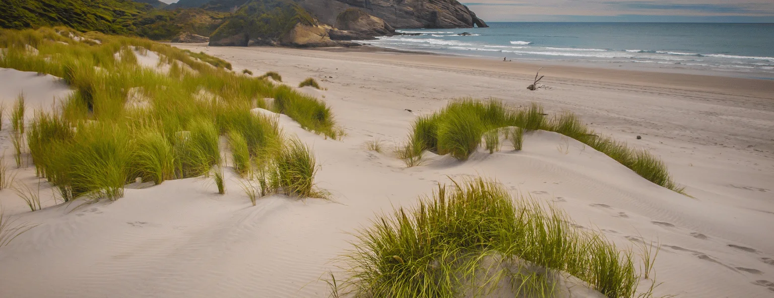 Make Memories That Last